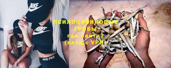 гидра Алексин