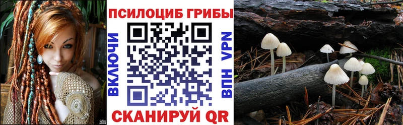 где можно купить наркотик  blacksprut ссылки  Галлюциногенные грибы Magic Shrooms  Усть-Илимск 
